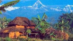 A glimpse at  Himalaya.jpg